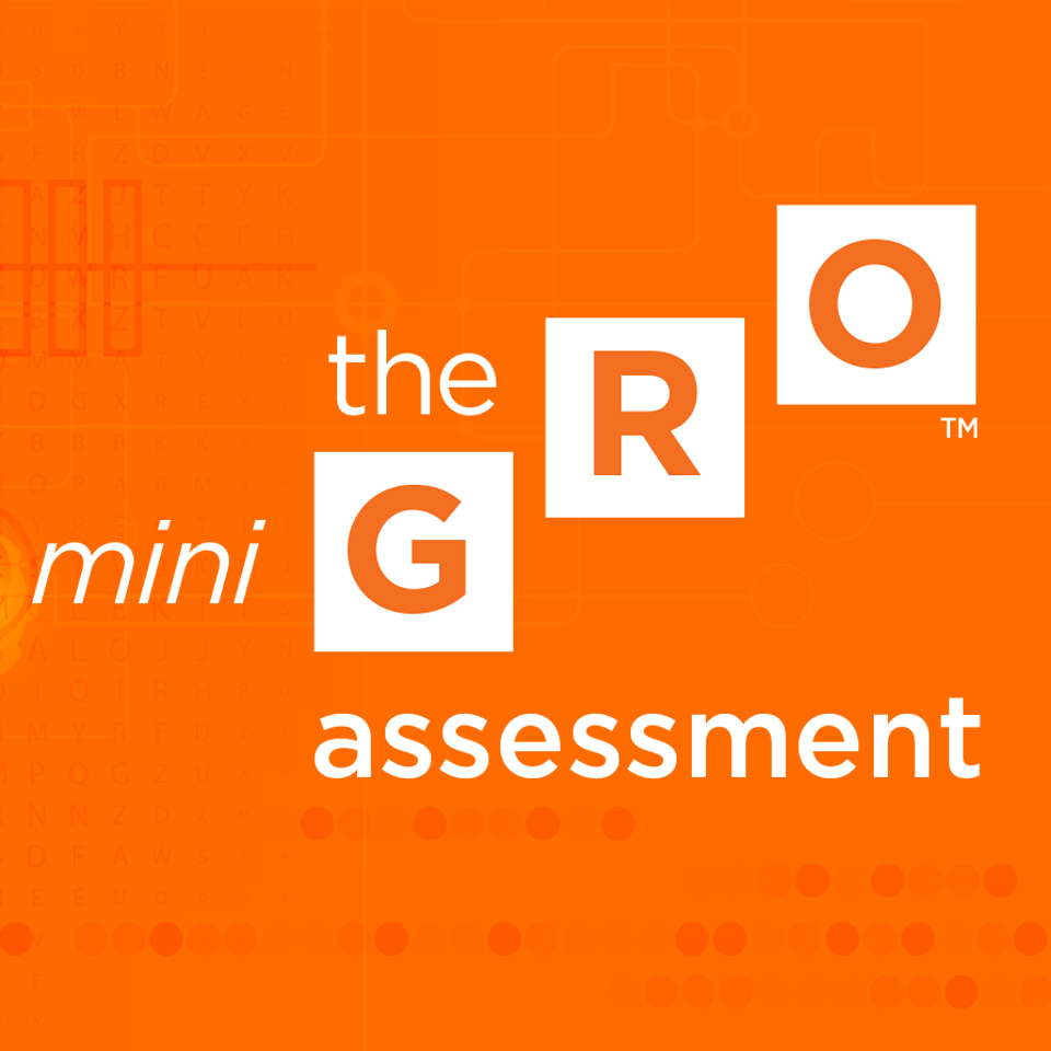 The Mini GRO assessment