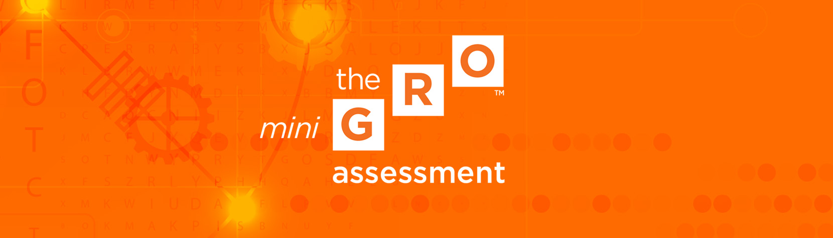 Transcend's Mini-GRO Assessment